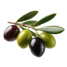 Aceitunas