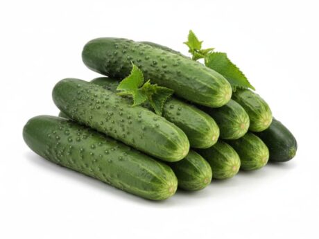 Pepinos Frescos de Marruecos