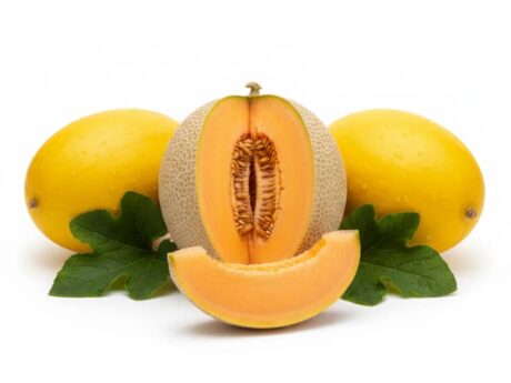 Melones Marroquíes Suaves y Perfumados