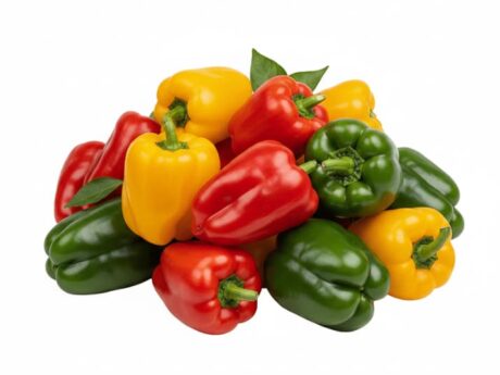 Pimientos Marroquíes de Colores
