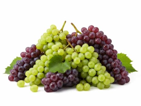 Uvas de Mesa Marroquíes