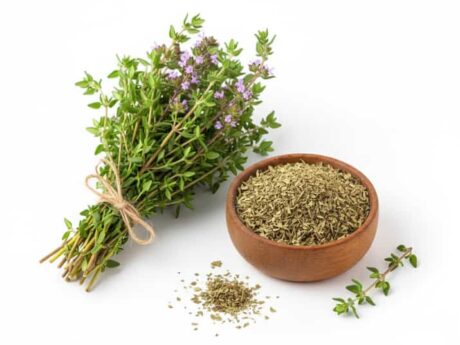 Tomillo Marroquí Seco o Fresco