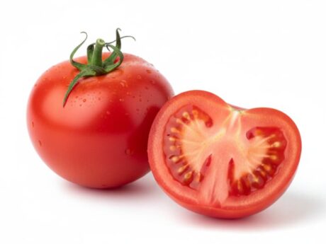 Tomates Frescos de Marruecos